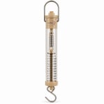 Newton Spring Balance